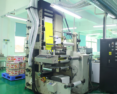 ZBS5-color rotary flexo machine (3)